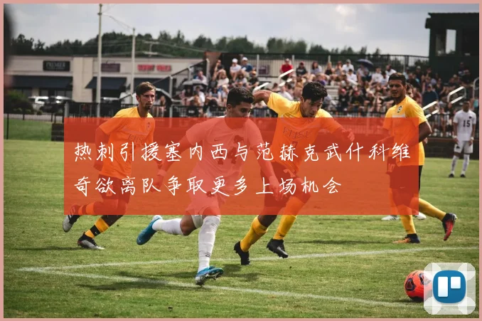 热刺引援塞内西与范赫克武什科维奇欲离队争取更多上场机会